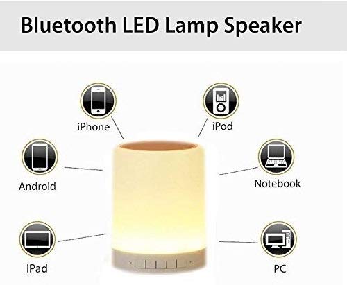 Smart Speaker with Touch Light